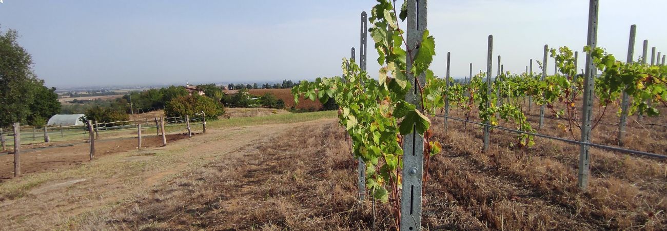 Agriturismo Poggio Caminata