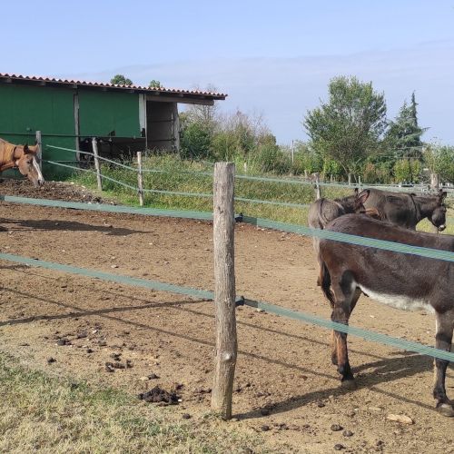 agriturismo sosta camper piacenza