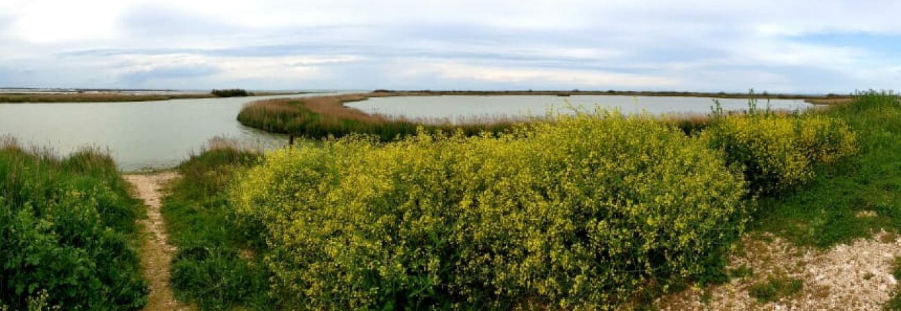 Attività da fare sul Delta del Po'