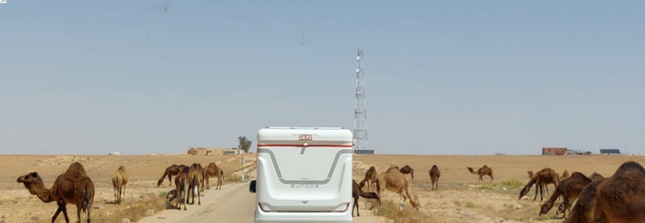 Tunisia in camper: come affrontare un viaggio nel deserto