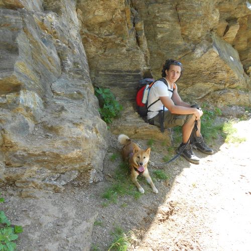 Trekking ponte di legno