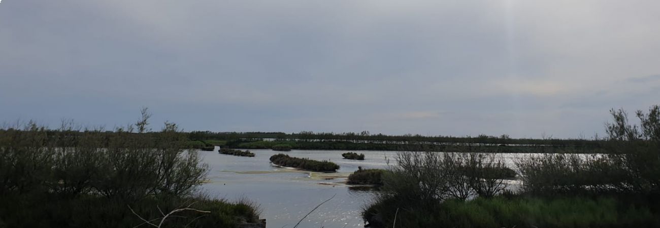 In camper sul Delta del Po'